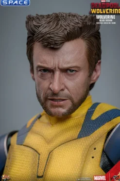 1/6 Scale Wolverine Deluxe Version Movie Masterpiece MMS754