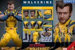 1/6 Scale Wolverine Deluxe Version Movie Masterpiece MMS754