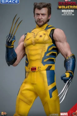 1/6 Scale Wolverine Deluxe Version Movie Masterpiece MMS754