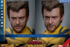 1/6 Scale Wolverine Deluxe Version Movie Masterpiece MMS754