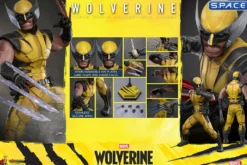 1/6 Scale Wolverine Videogame Masterpiece VGM91