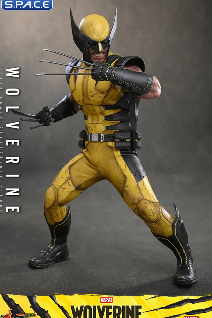 1/6 Scale Wolverine Videogame Masterpiece VGM91