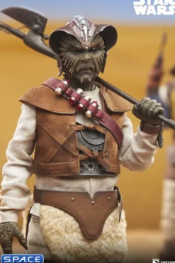 1/6 Scale Wooof Scum & Villainy