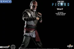 1/6 Scale Worf