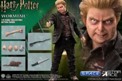 1/6 Scale Wormtail »Peter Pettigrew«