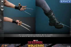 1/6 Scale X-23 Movie Masterpiece MMS781
