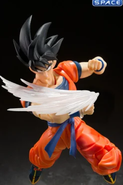 S.H.Figuarts Son Goku's Effect Parts Set