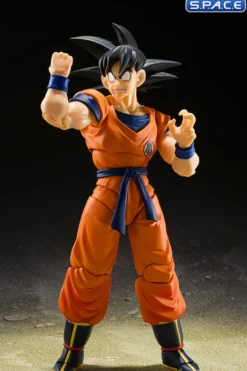 S.H.Figuarts Son Goku & Son Gohan »Kid- & Kintoun«