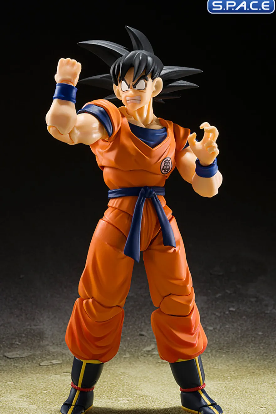S.H.Figuarts Son Goku & Son Gohan »Kid- & Kintoun«