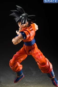 S.H.Figuarts Son Goku »The Kind-Hearted Saiyan«