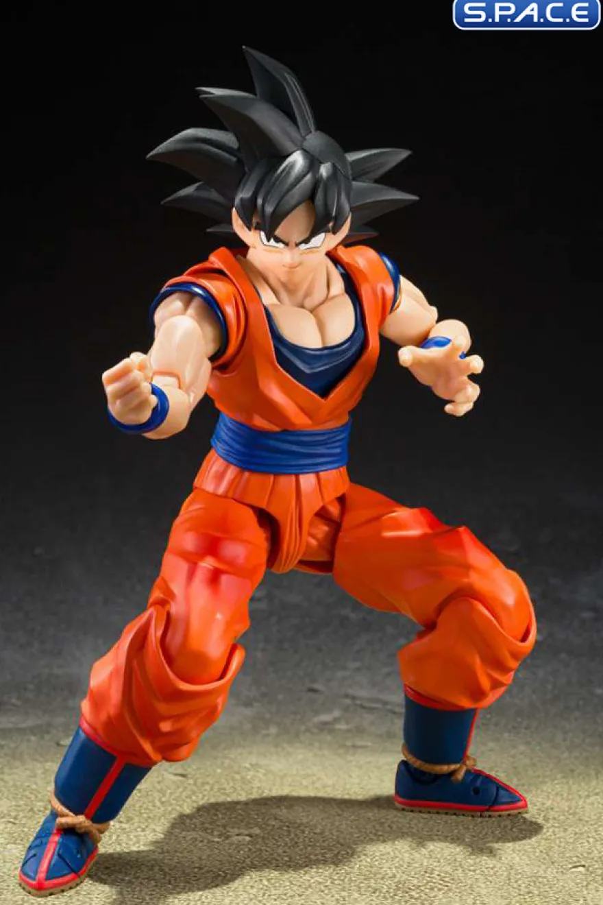 S.H.Figuarts Son Goku »The Kind-Hearted Saiyan«