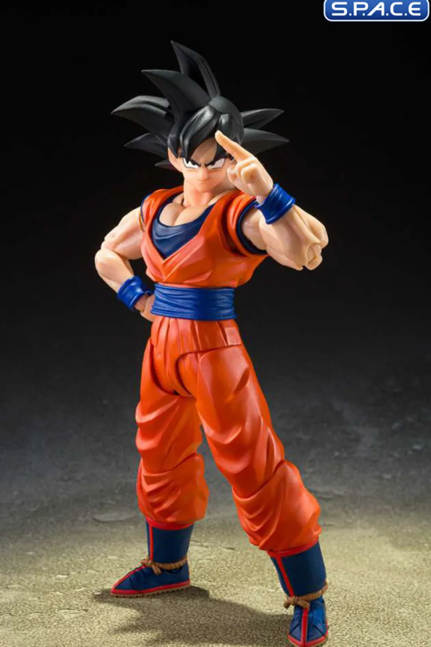 S.H.Figuarts Son Goku »The Kind-Hearted Saiyan«