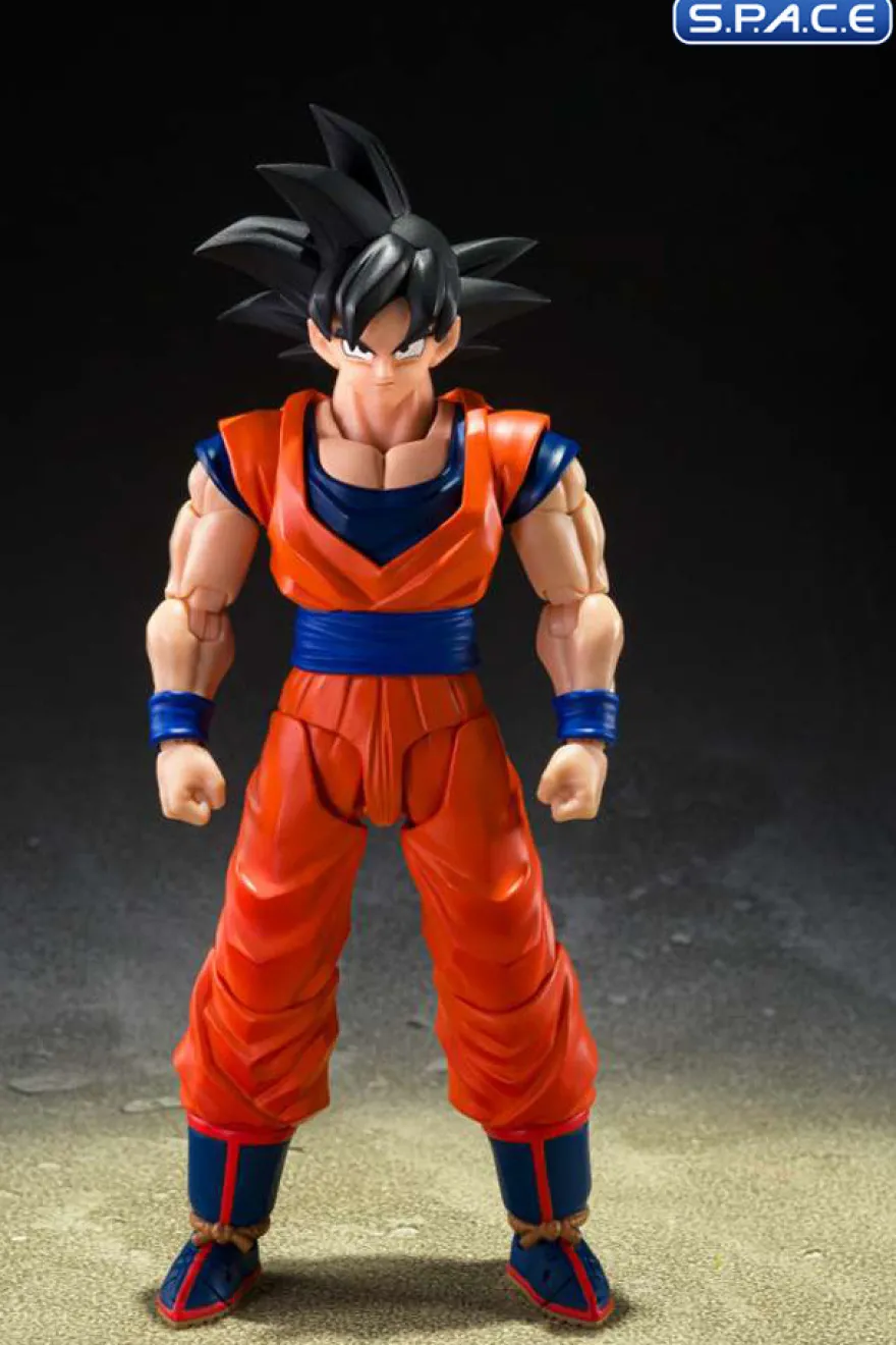 S.H.Figuarts Son Goku »The Kind-Hearted Saiyan«