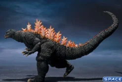 S.H.MonsterArts Godzilla Heat Ray Version vs. New Gotengo