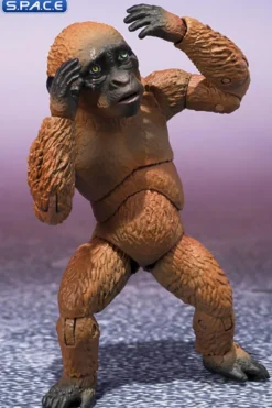 S.H.MonsterArts Suko & Mothra 2-Pack