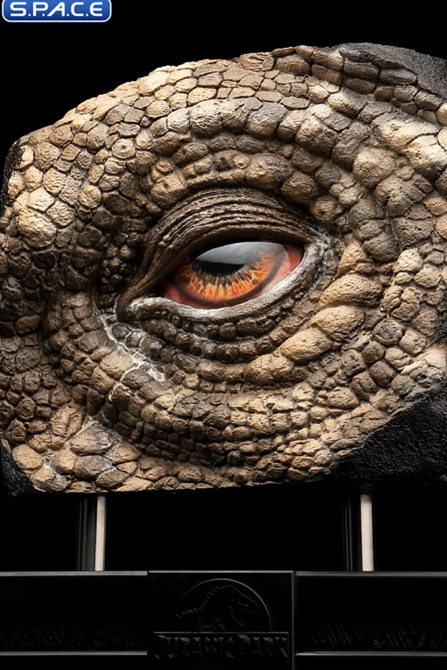 Sick Triceratops Eye Prop Replica