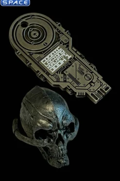 Silver Coin and Silver Skull Set