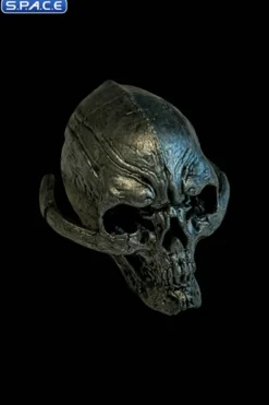 Silver Coin and Silver Skull Set