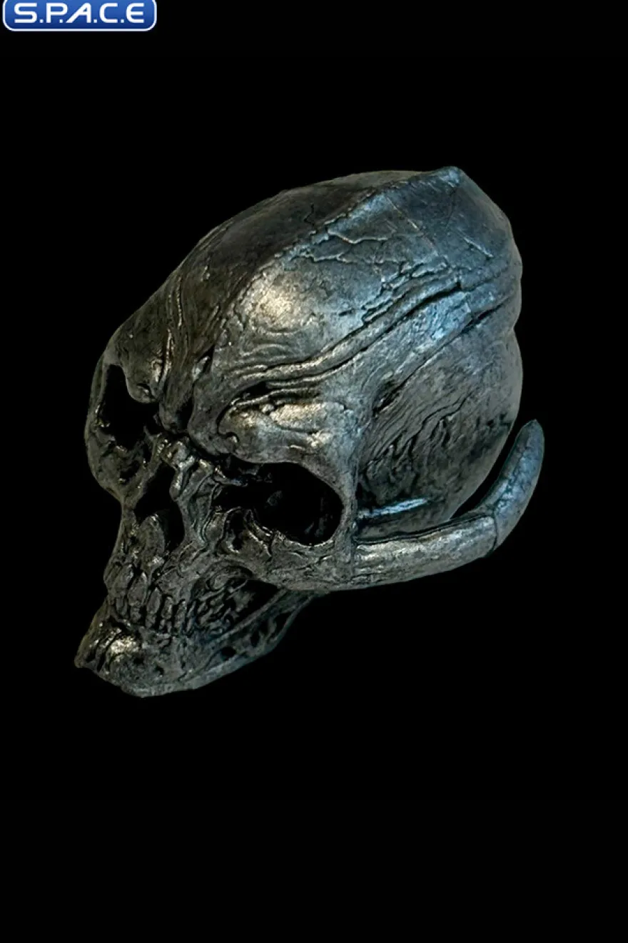 Silver Coin and Silver Skull Set