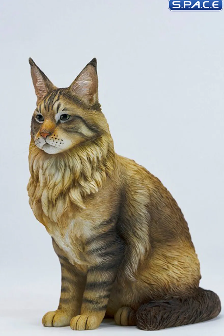 Sitting upright Maine Coon Statue