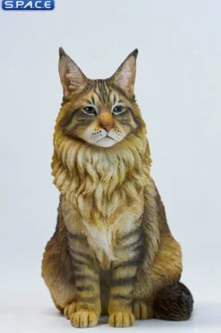Sitting upright Maine Coon Statue