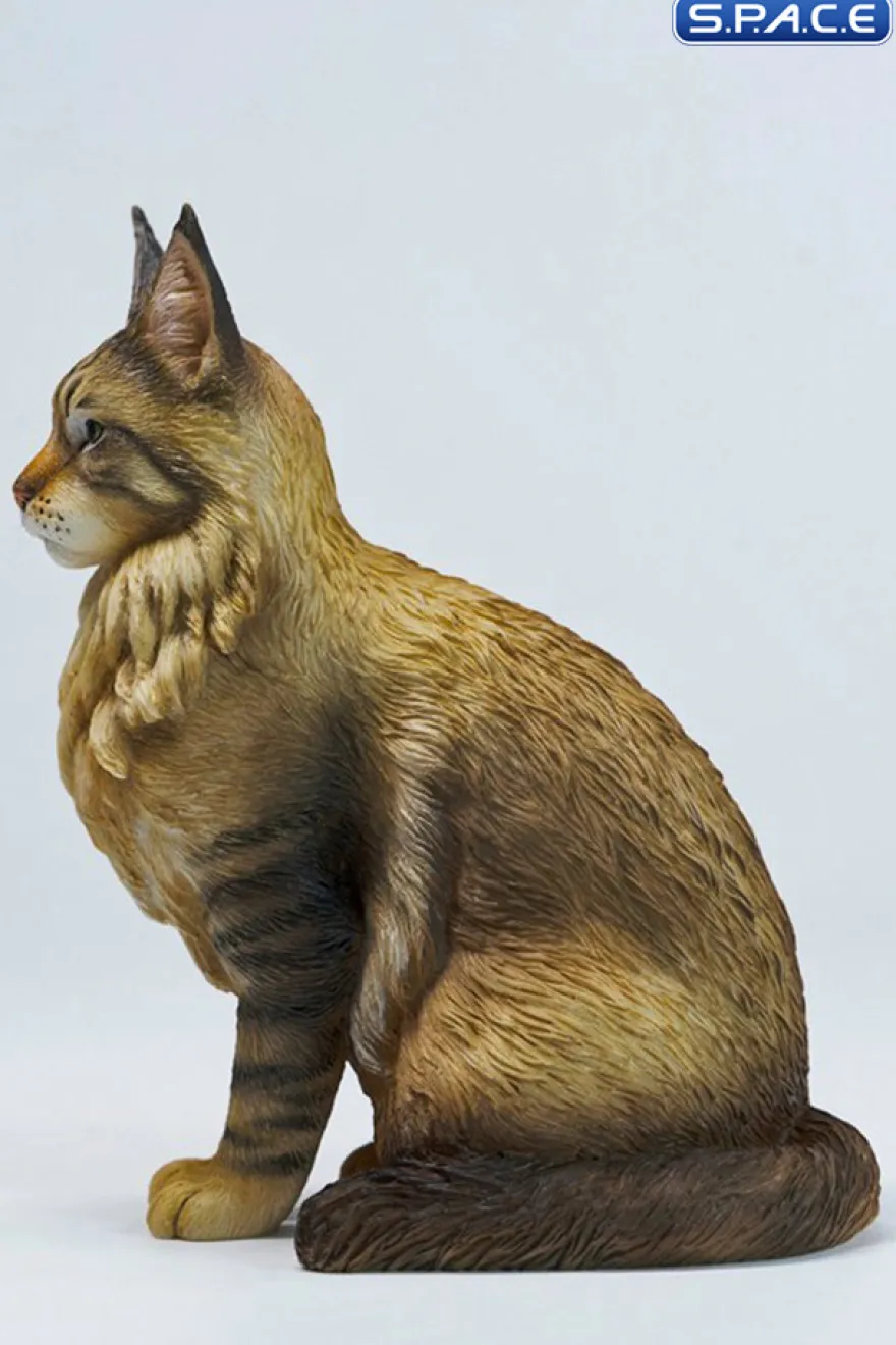 Sitting upright Maine Coon Statue