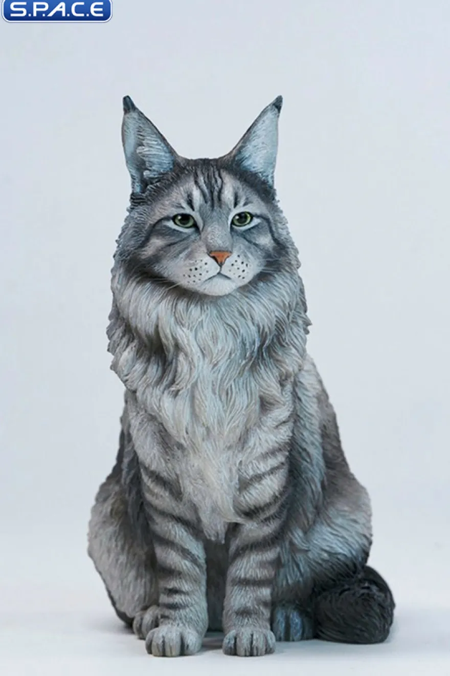 Sitting upright Maine Coon Statue