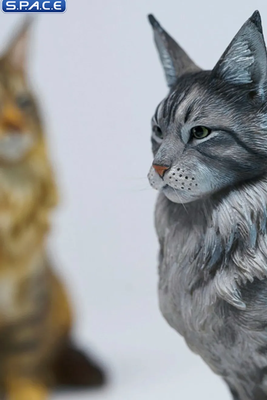 Sitting upright Maine Coon Statue