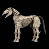 Skeleton Steed Legion Builder