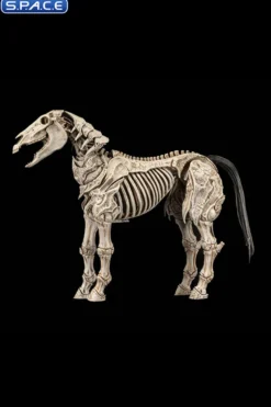 Skeleton Steed Legion Builder