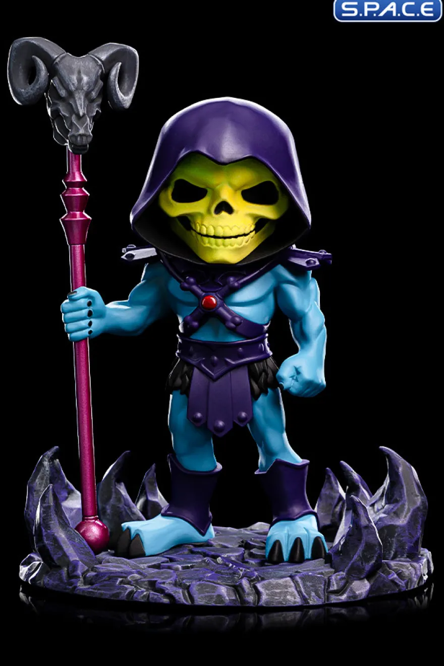 Skeletor MiniCo. Vinyl Figure - Glow in the Dark Event Exclusive