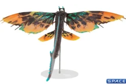 Skimwing Megafig