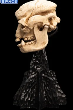Skull of a Cave Troll