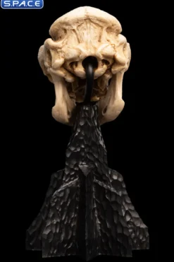 Skull of a Cave Troll