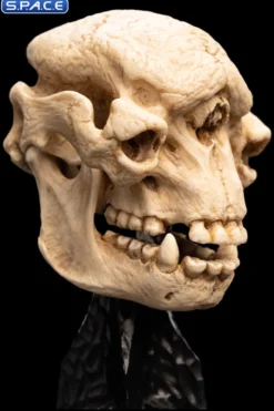 Skull of a Cave Troll