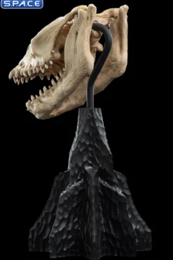 Skull of a Fell Beast