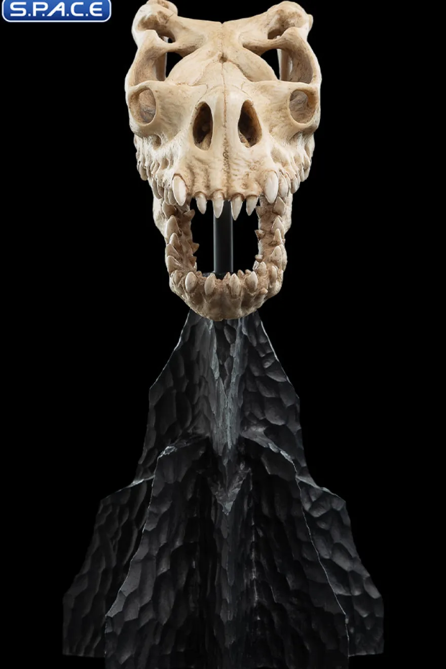 Skull of a Fell Beast
