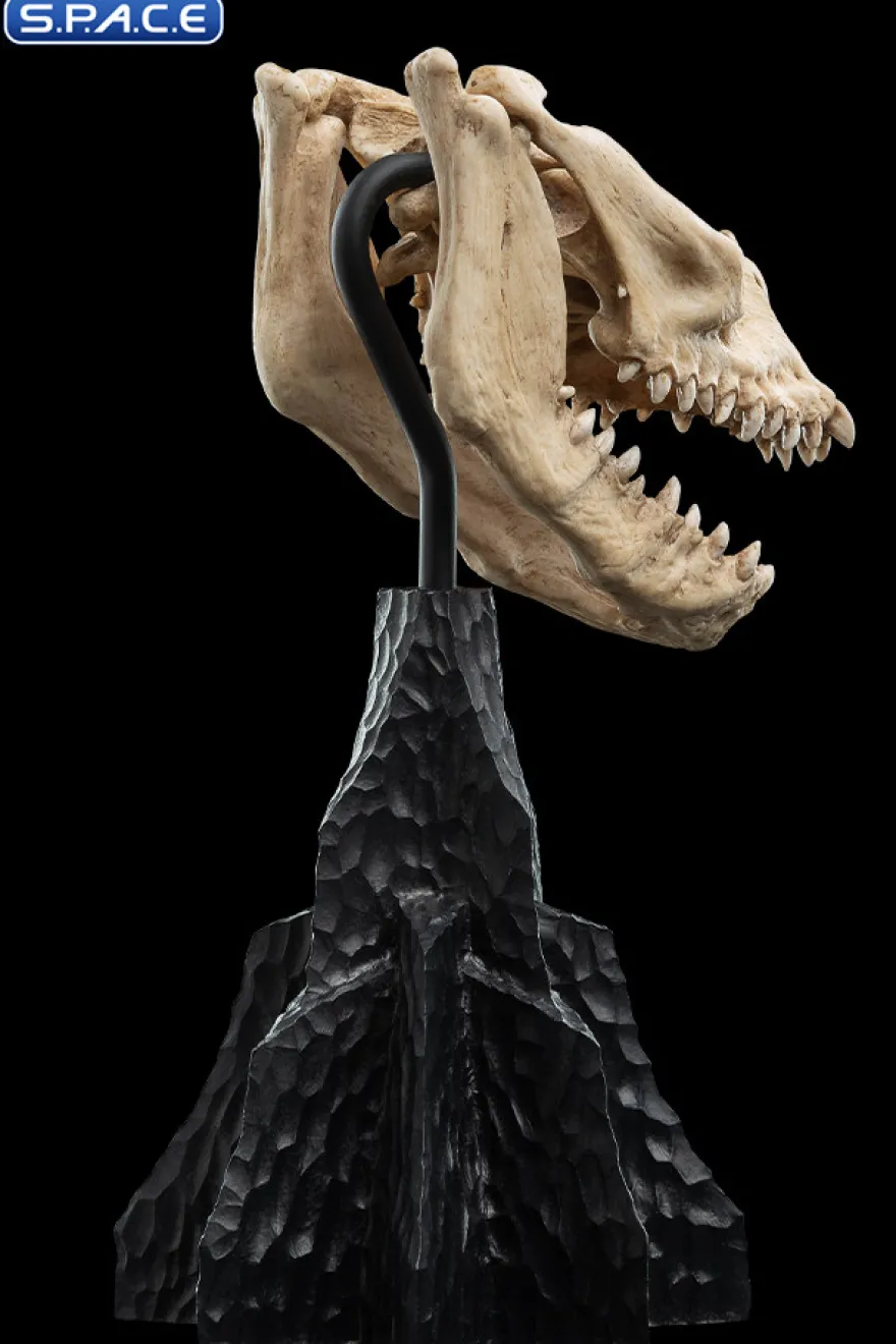 Skull of a Fell Beast