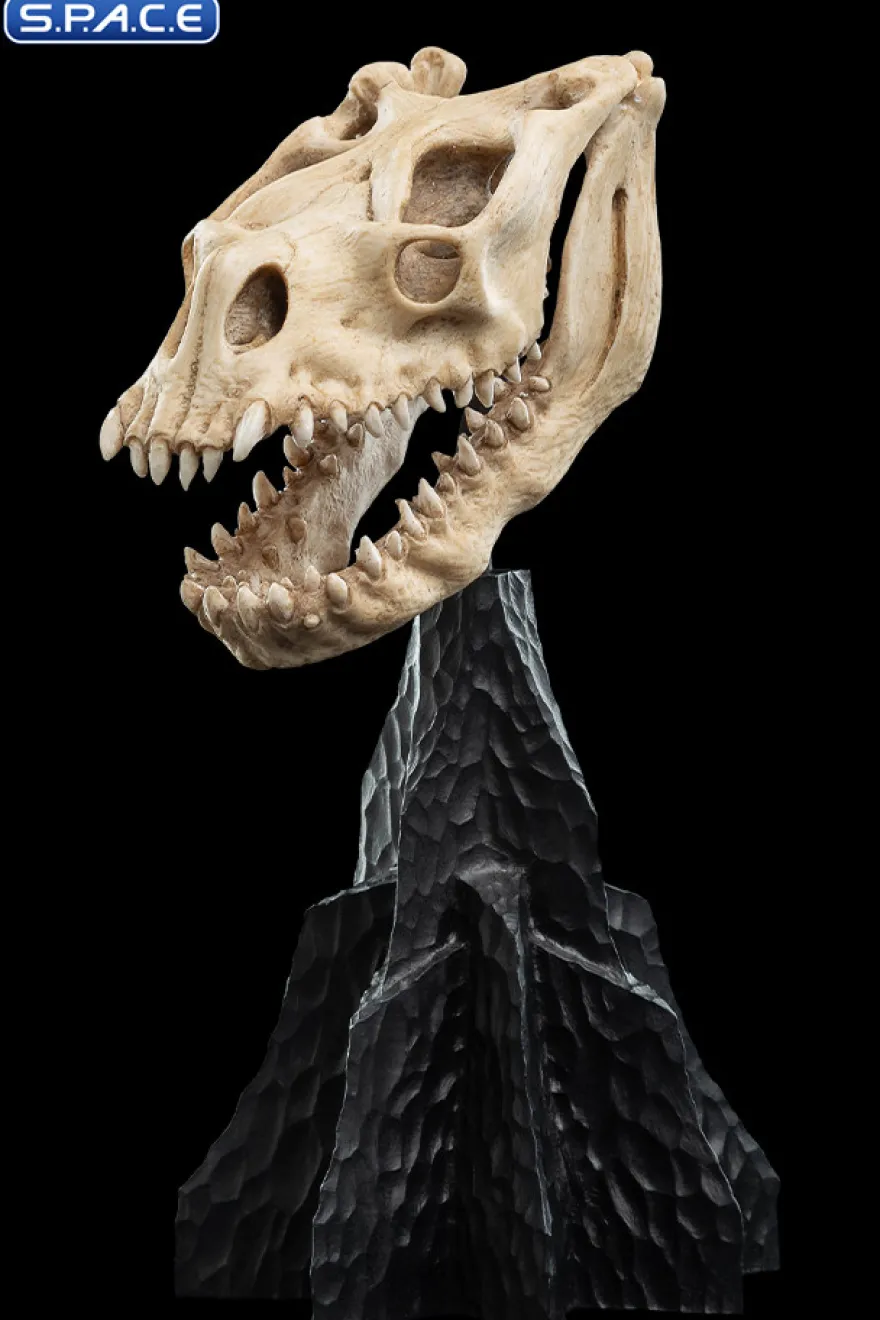 Skull of a Fell Beast
