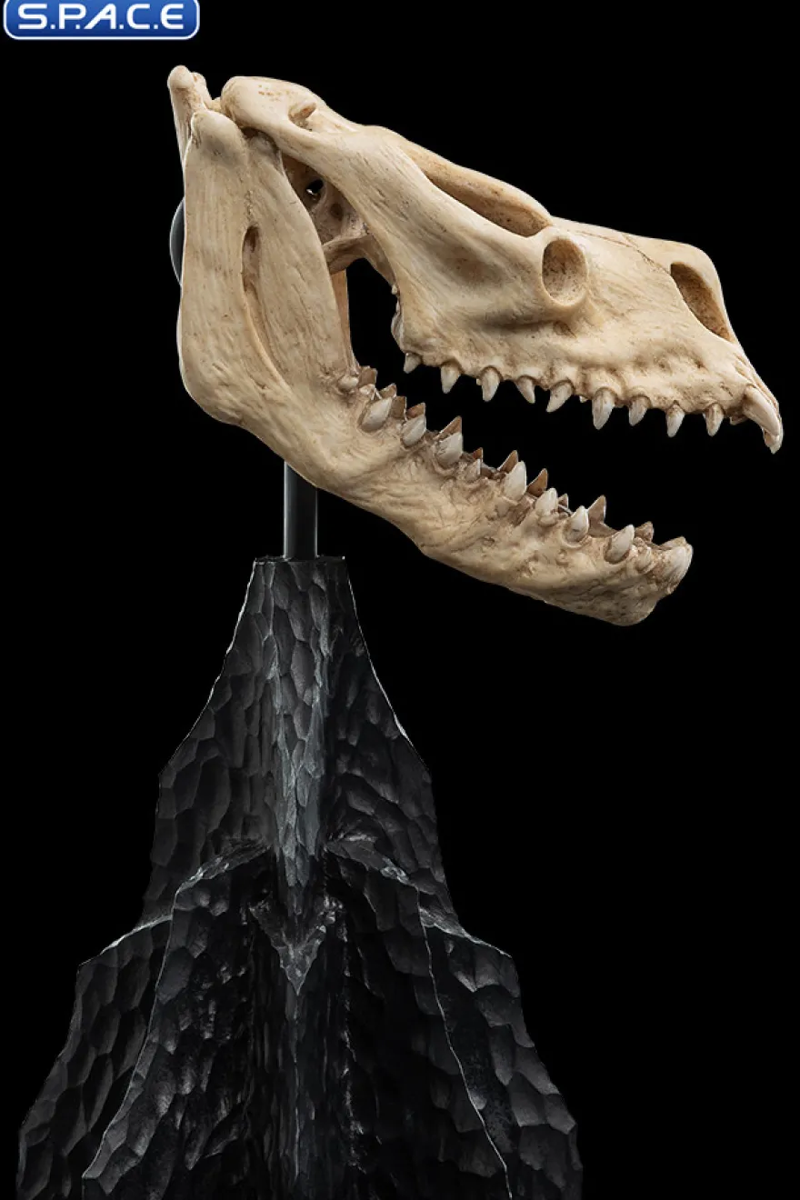Skull of a Fell Beast