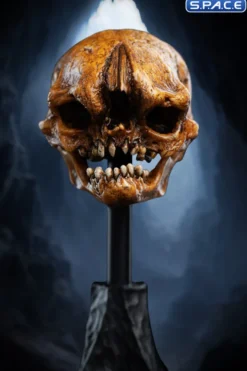 Skull of a Misty Mountain Goblin