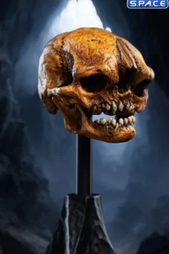 Skull of a Misty Mountain Goblin