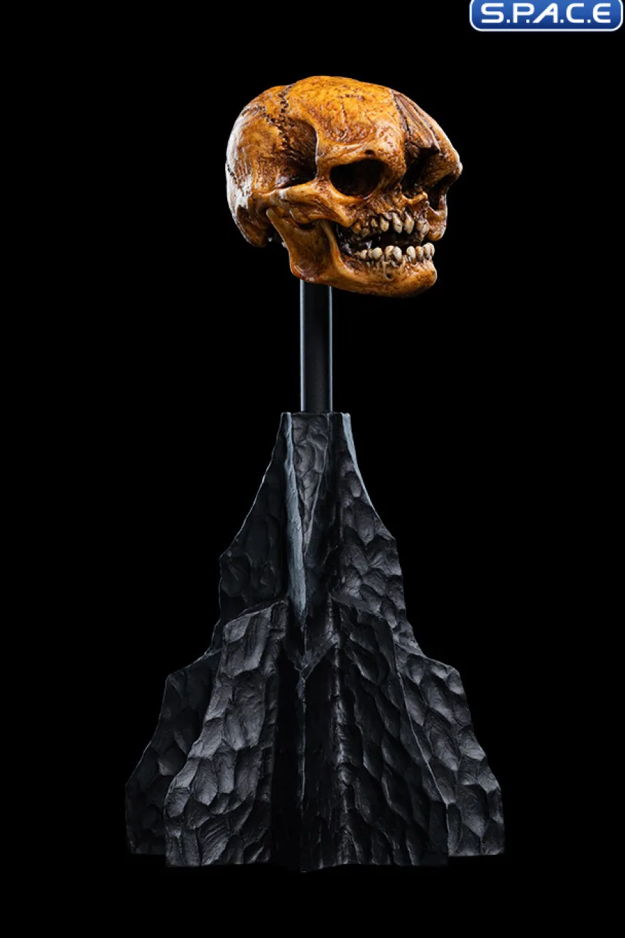 Skull of a Misty Mountain Goblin
