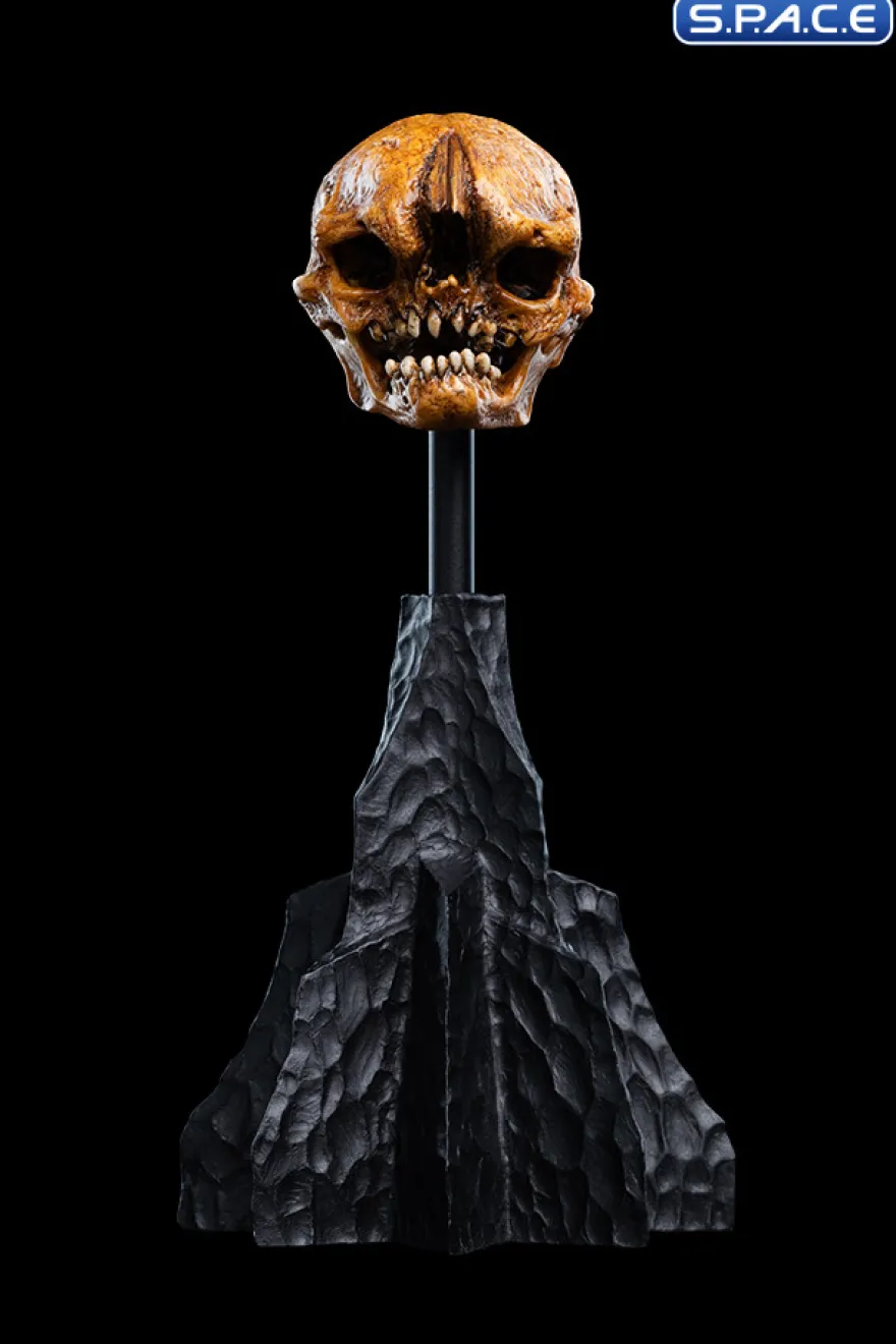 Skull of a Misty Mountain Goblin