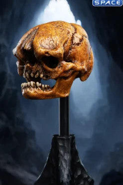 Skull of a Misty Mountain Goblin