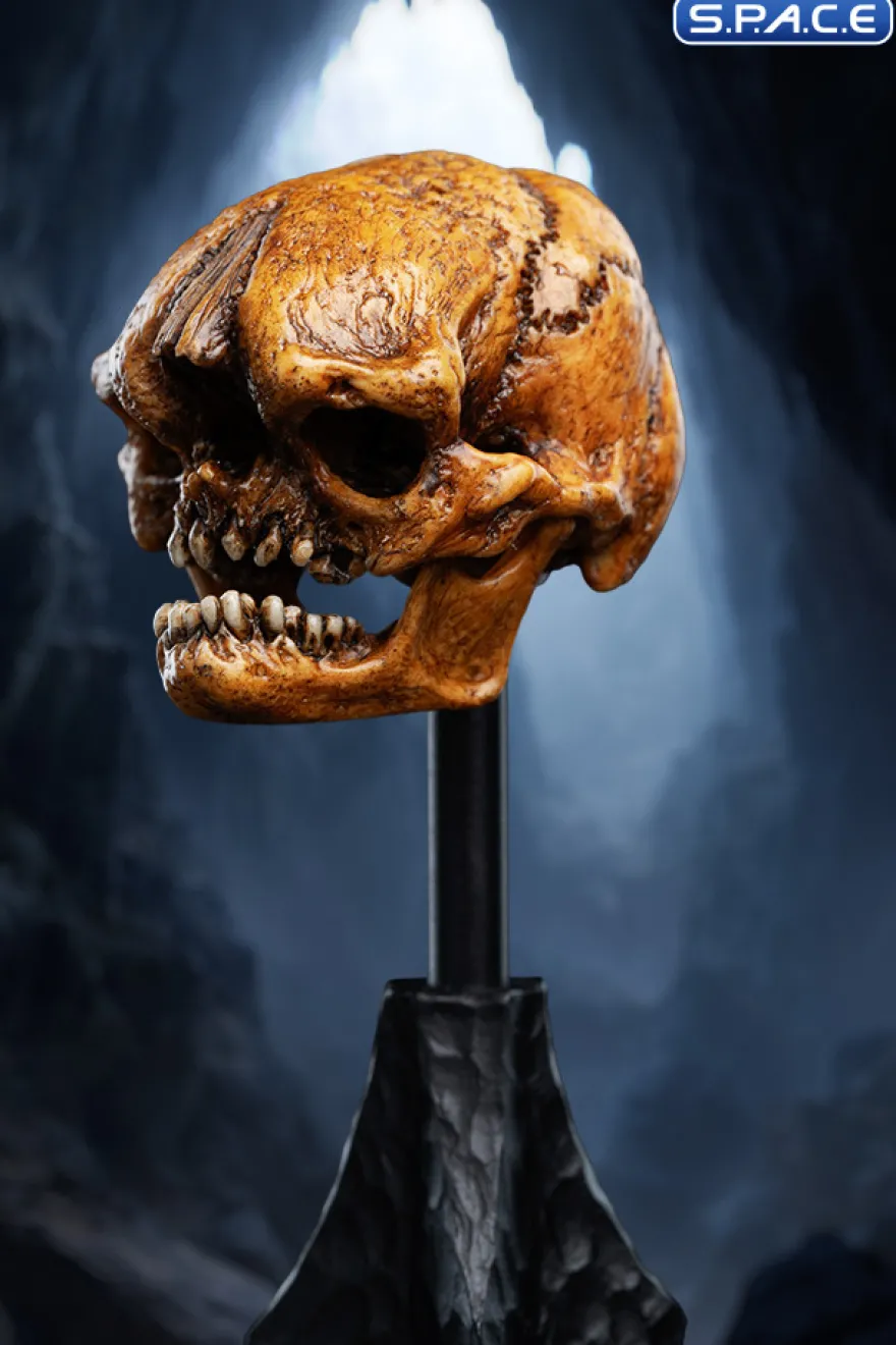 Skull of a Misty Mountain Goblin