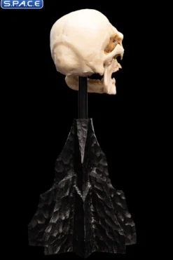 Skull of a Mordor Orc