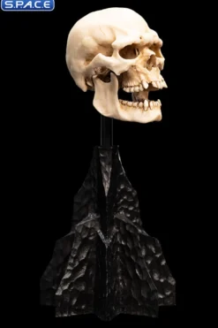 Skull of a Mordor Orc