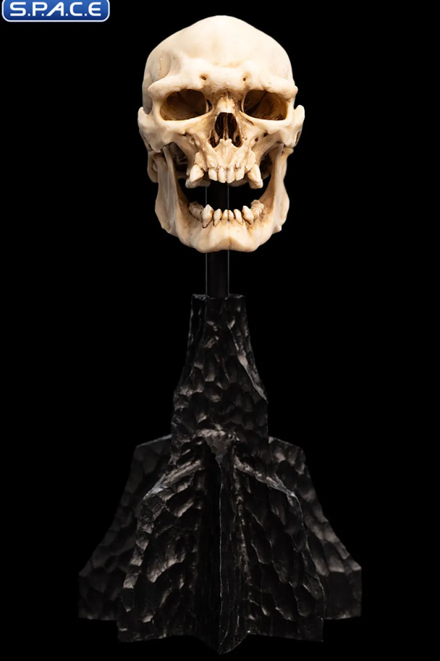 Skull of a Mordor Orc