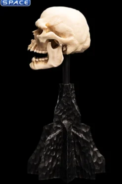 Skull of a Mordor Orc